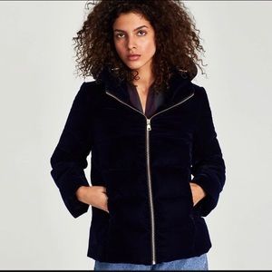Zara Blue Velvet Puffer Coat